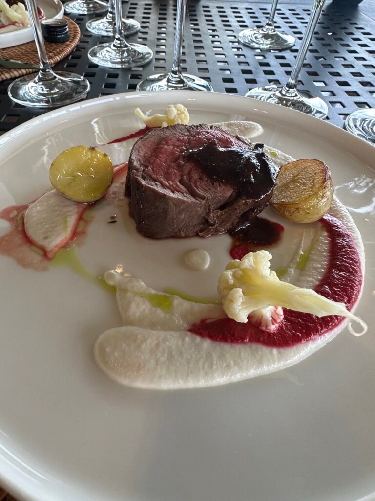 Mendoza wine itinerary