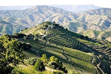 Priorat