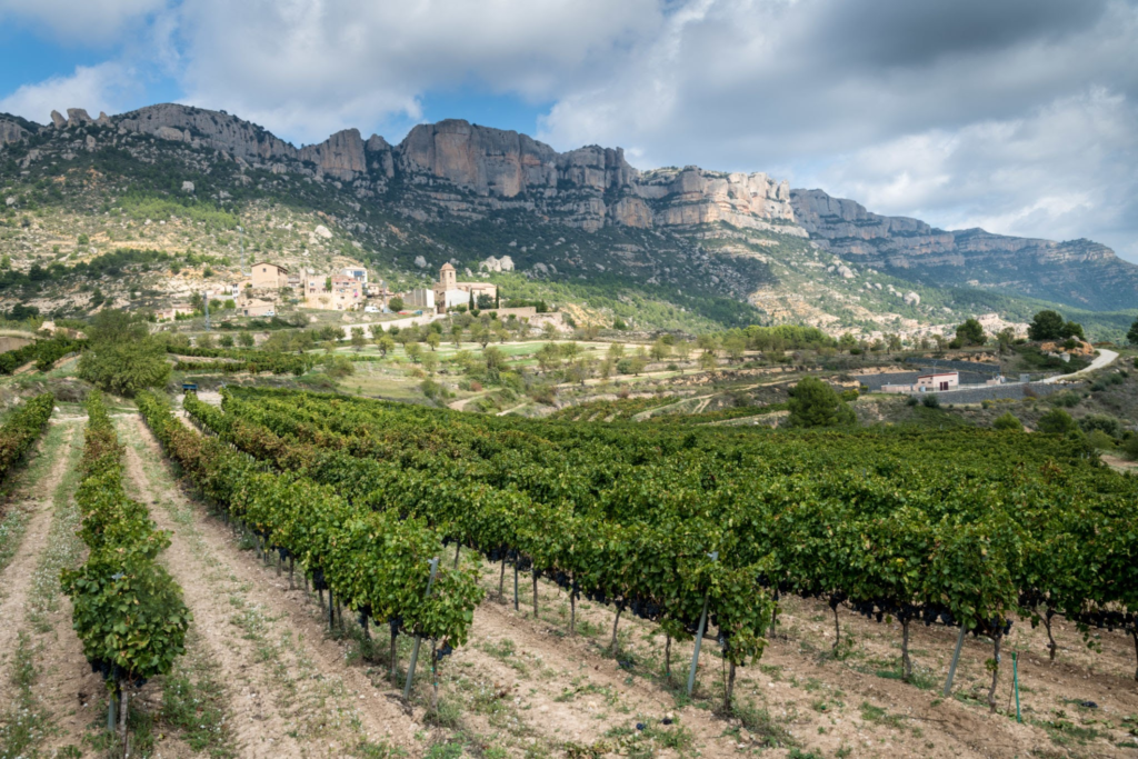 Beyond the Ring of Priorat: The Unsung Wines of DO Montsant