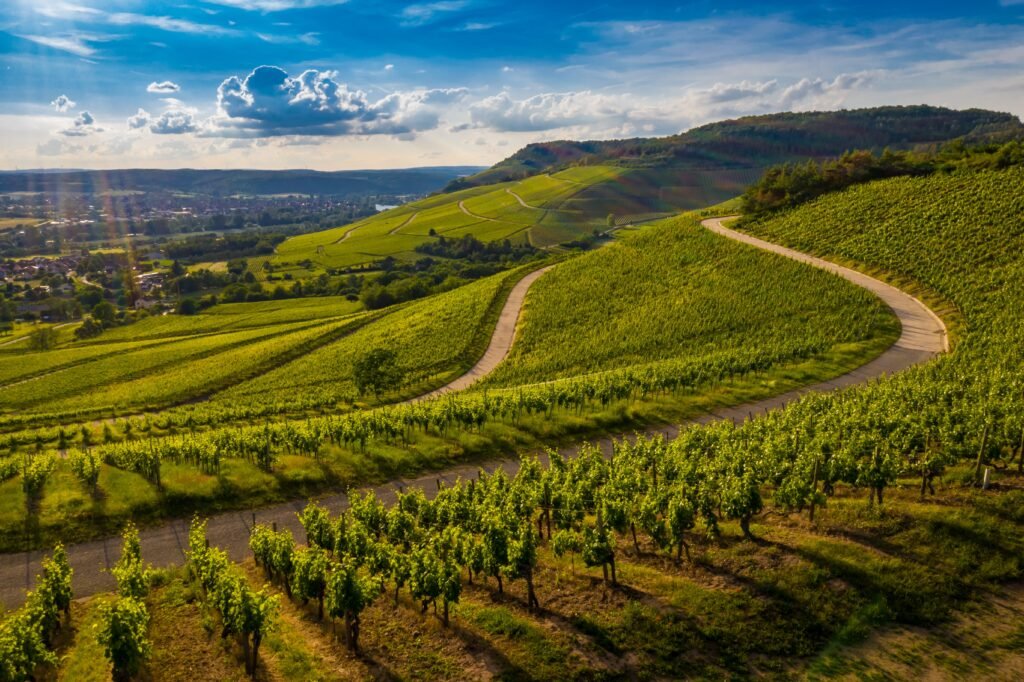 Piedmont