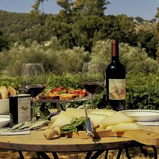 Penedès wine region