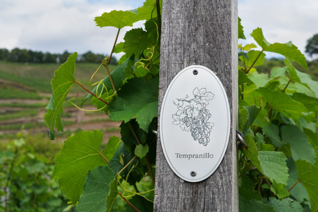 Spanish wine travel