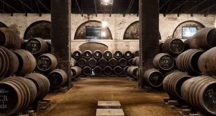 Montilla-Moriles wine region