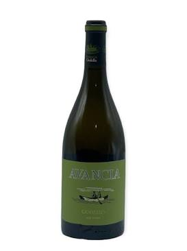 Godello wine guide