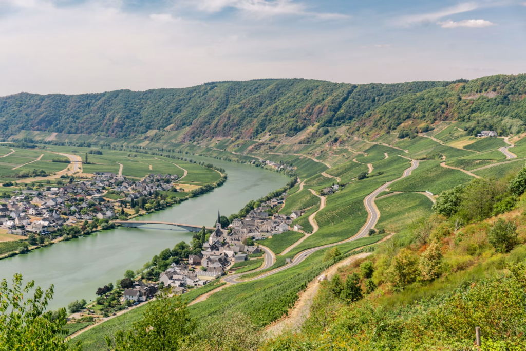 German Riesling wine tour