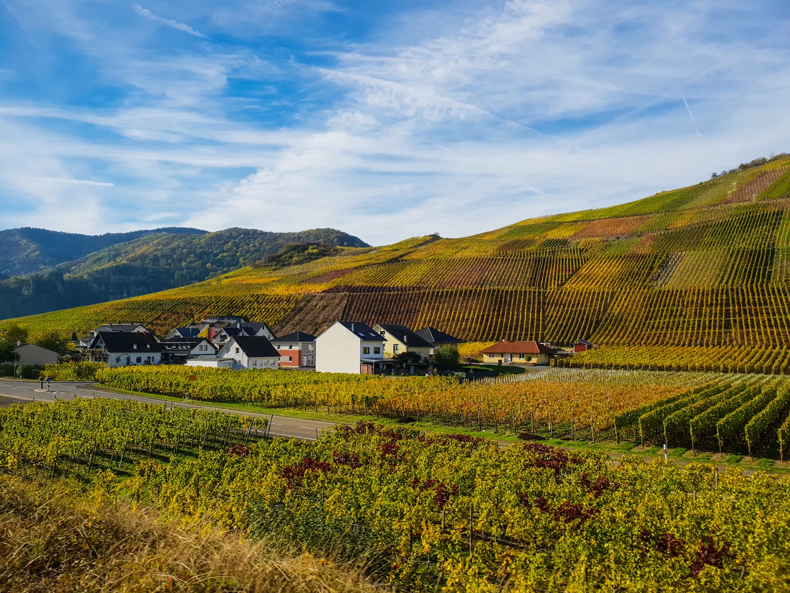 Ahr wine region