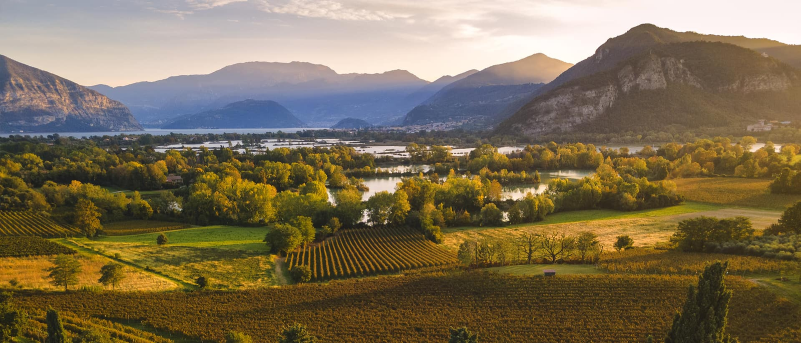 Franciacorta wines