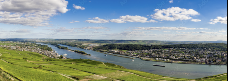 Rheinhessen