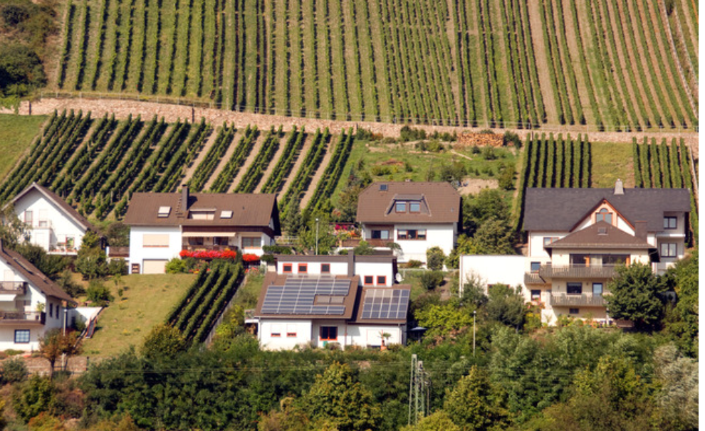 Rheingau wine region