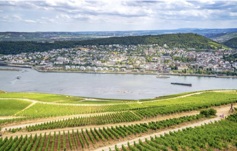 Rheingau