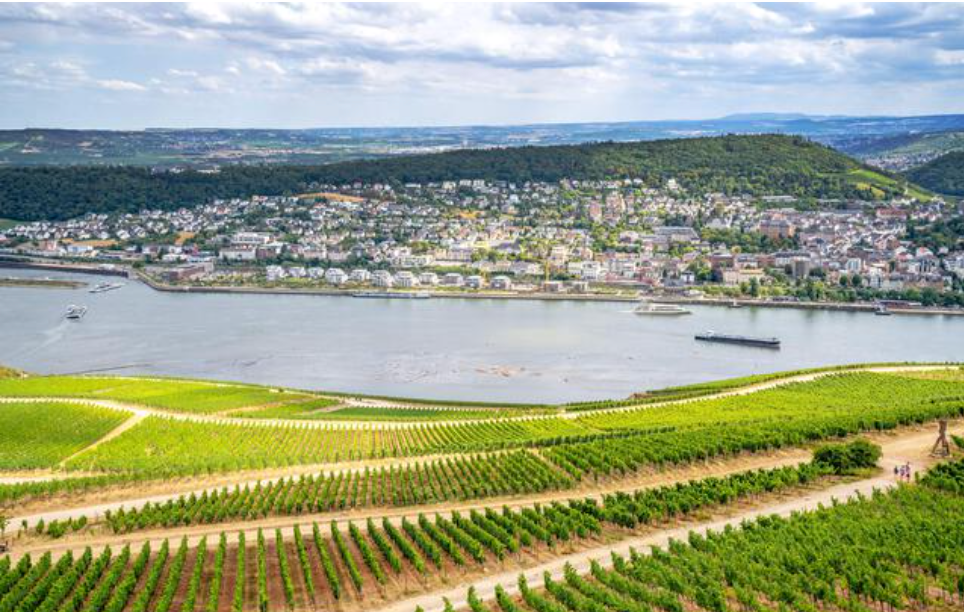 Rheingau