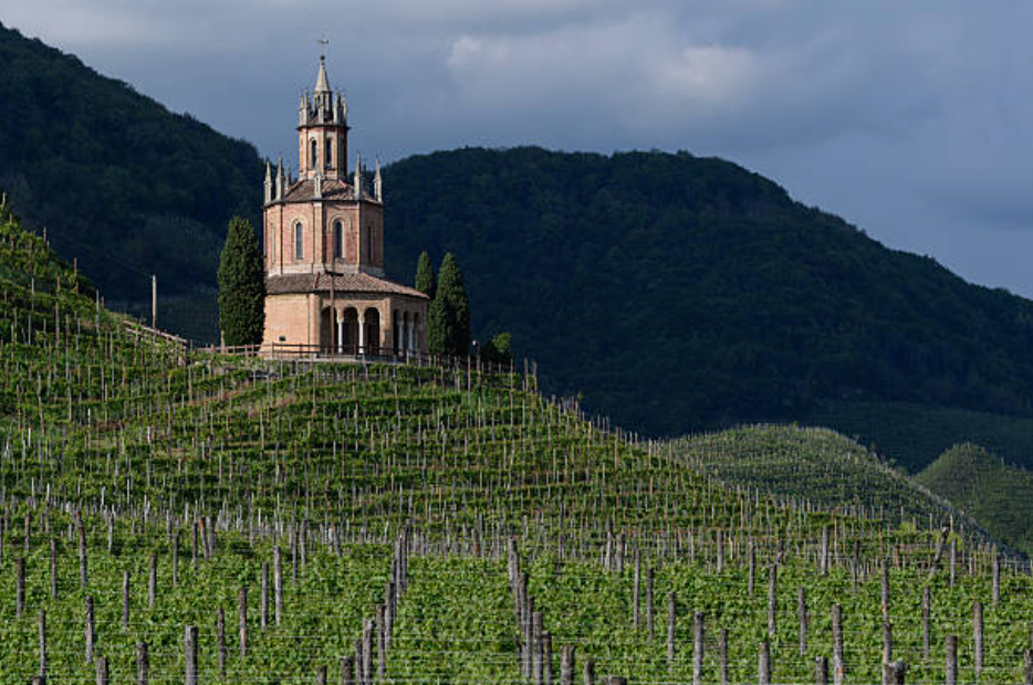Veneto wine region