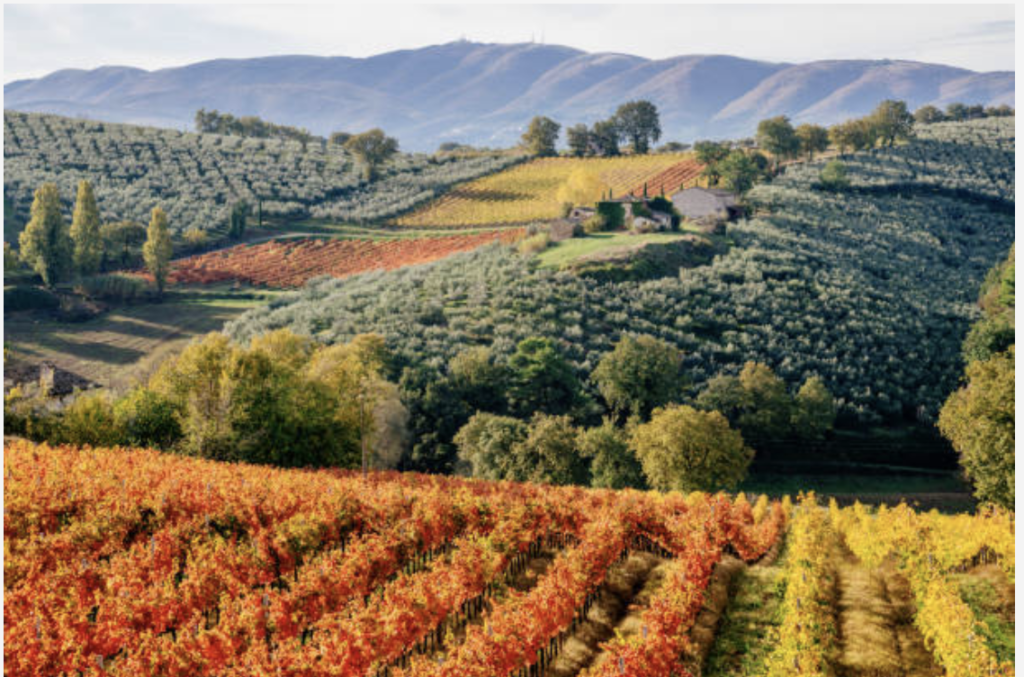 Umbria wine region