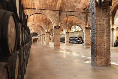 Spanish sparkling wine guide