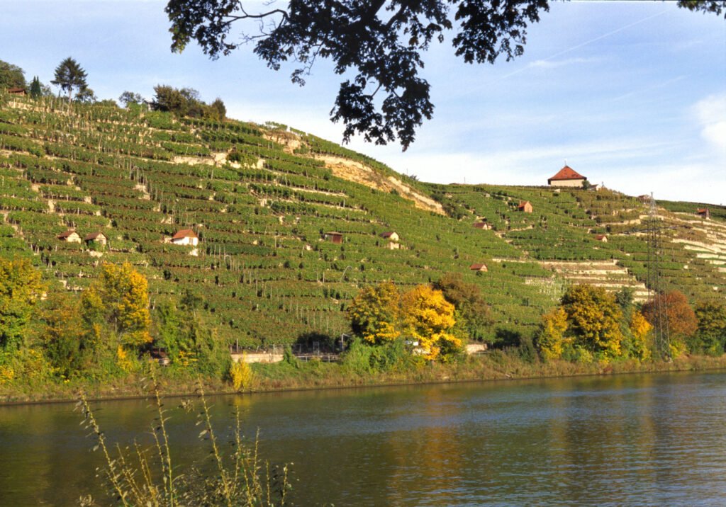 Württemberg wine region