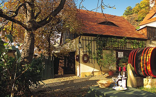 Sachsen wine region