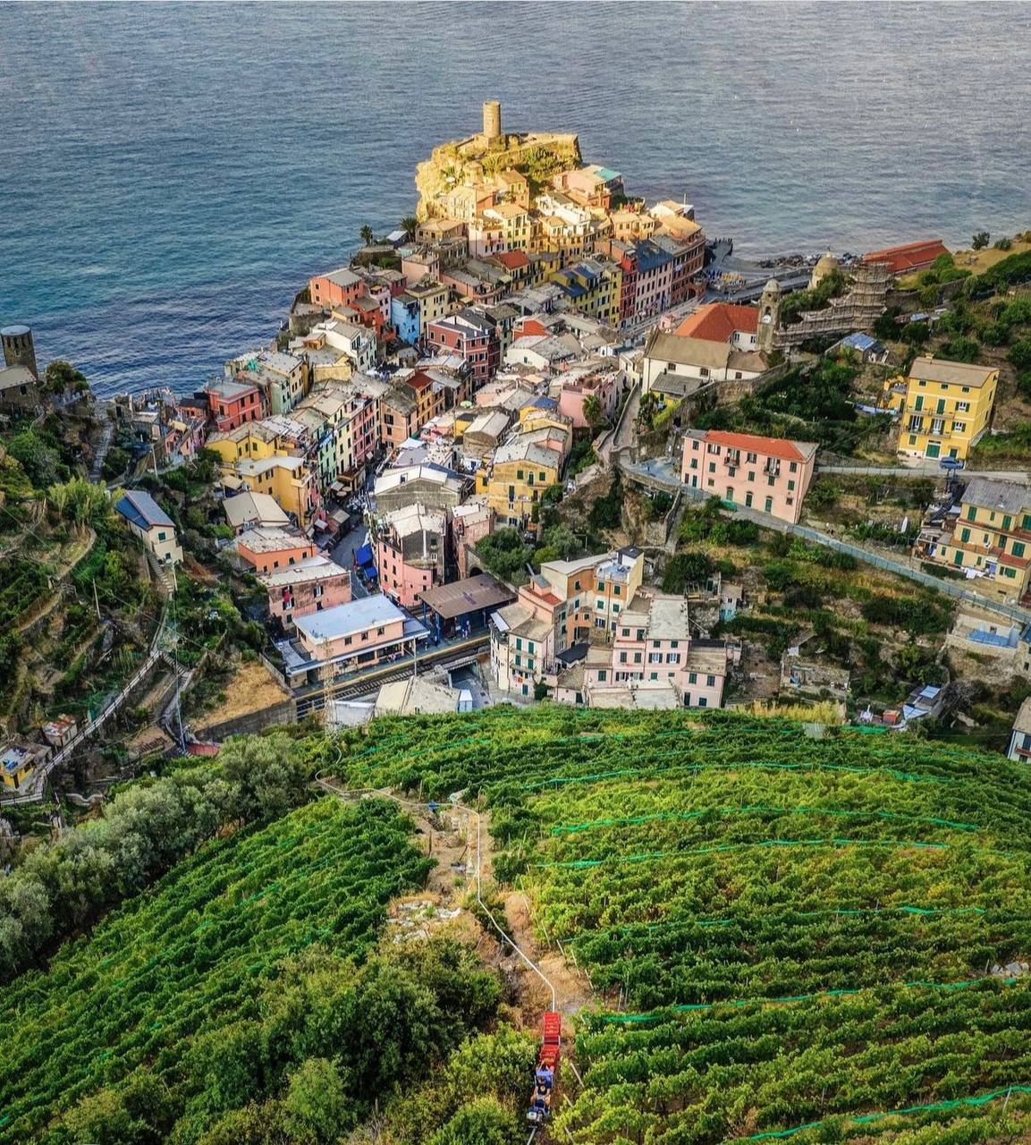 Liguria wine region