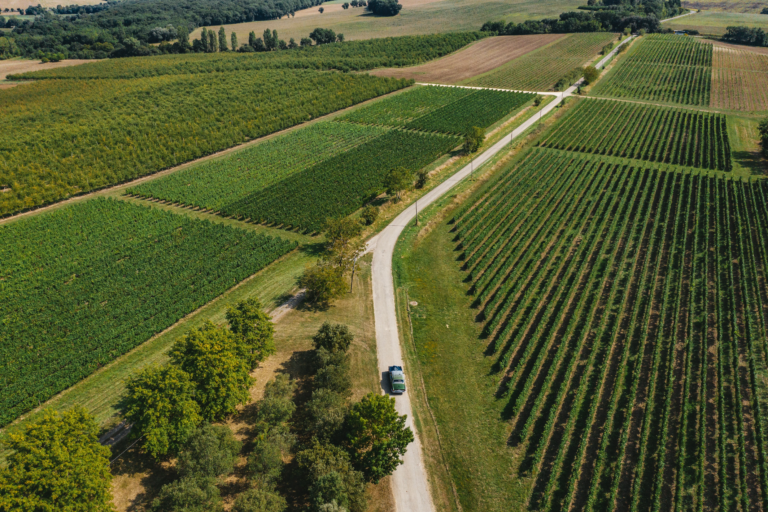 Sud-Ouest wine region