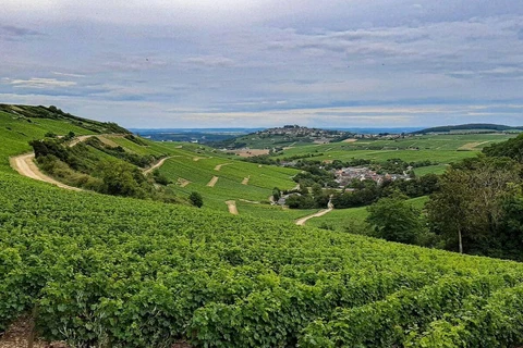 Loire Valley Wine Region, France, Chinon