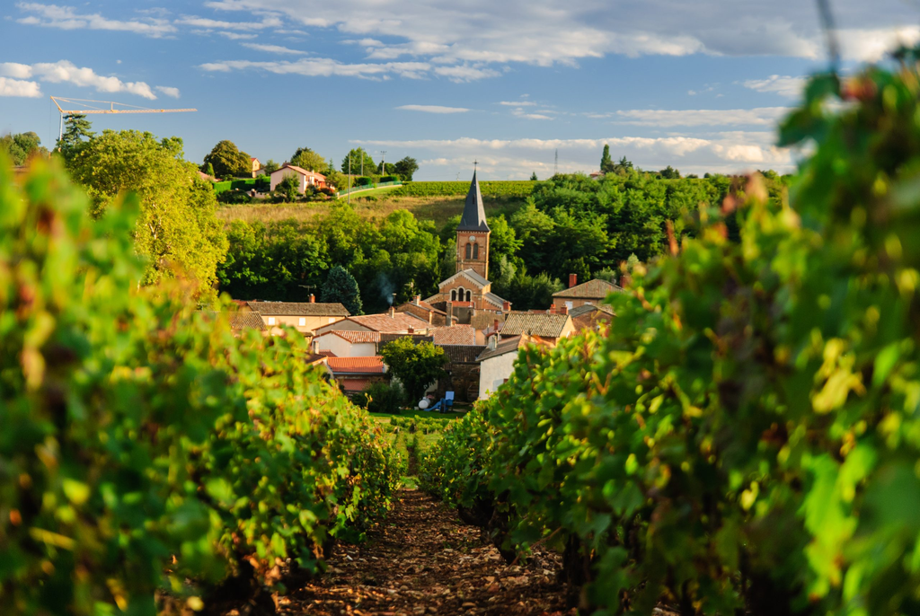 Beaujolais, Wine region, France