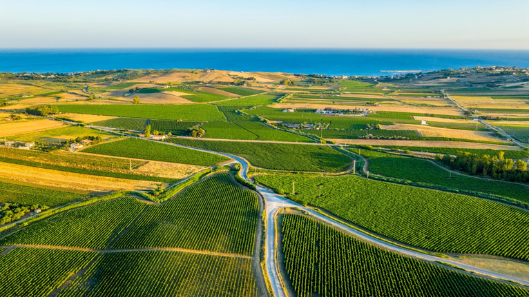 Sicily wine region