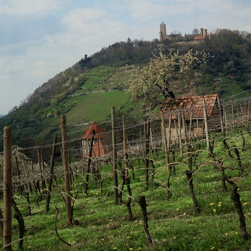 Hessische Bergstraße wine region