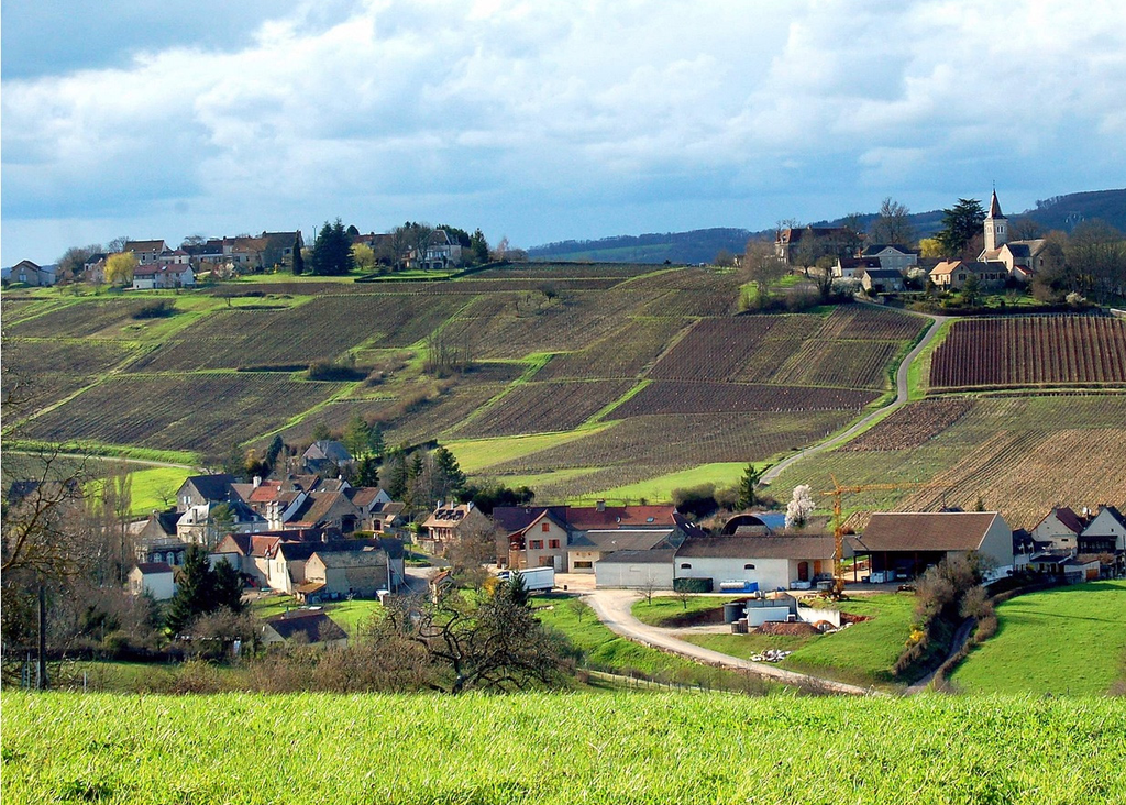 Bourgogne wine guide, France, Burgundy