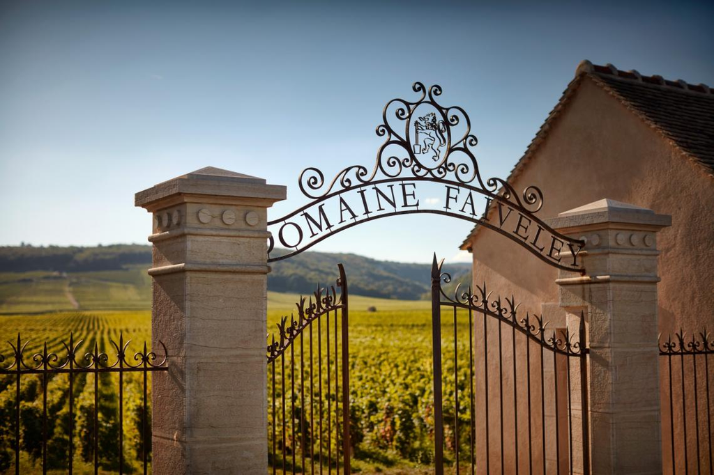 Burgundy wine guide, France, Chablis, Pinot Noir