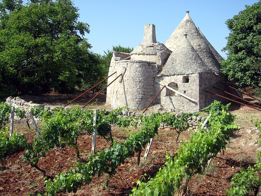 Puglia wine region