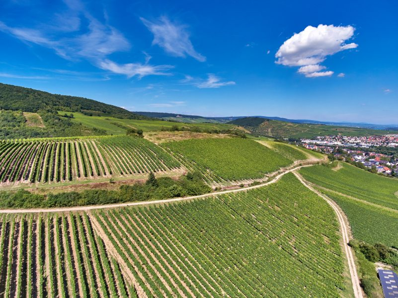 Nahe wine region