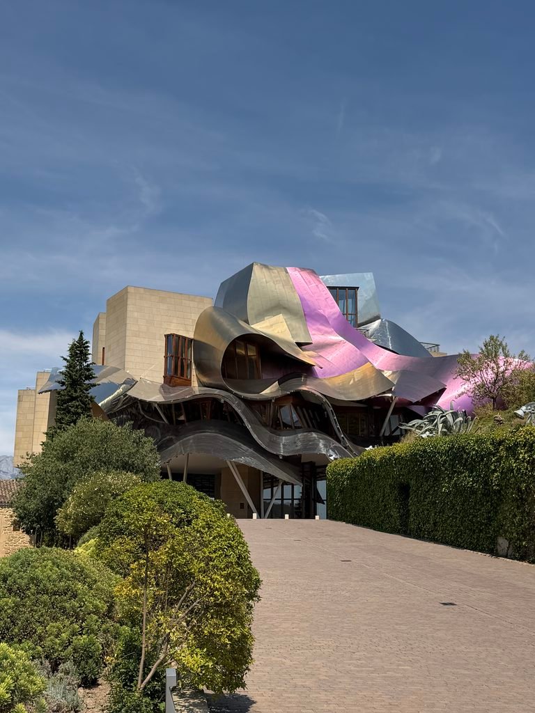 Rioja day trip from Bilbao, Marques de Riscal, vineyard