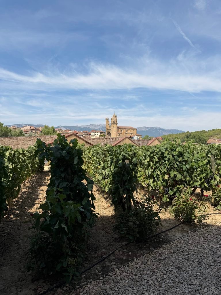 Rioja day trip from Bilbao, La Rioja, Bilbao, Spain