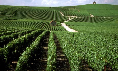Champagne wine region, Champagne France guide, Travel guide