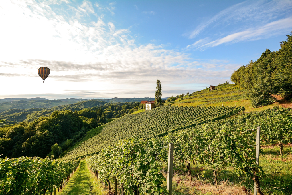 Rhône Valley, Rhône Valley wine guide, Châteaunef-du-Pape wine, France