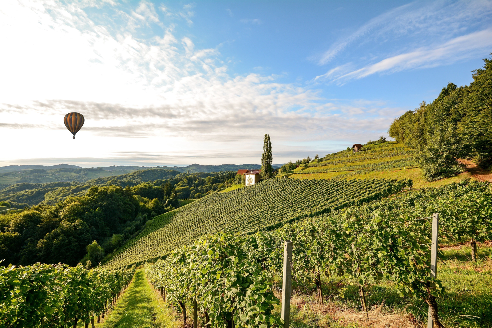 Rhône Valley
