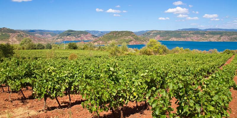 Languedoc Roussillon