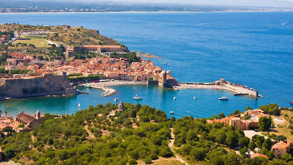 Languedoc Roussillon wine region, Vineyard, France
