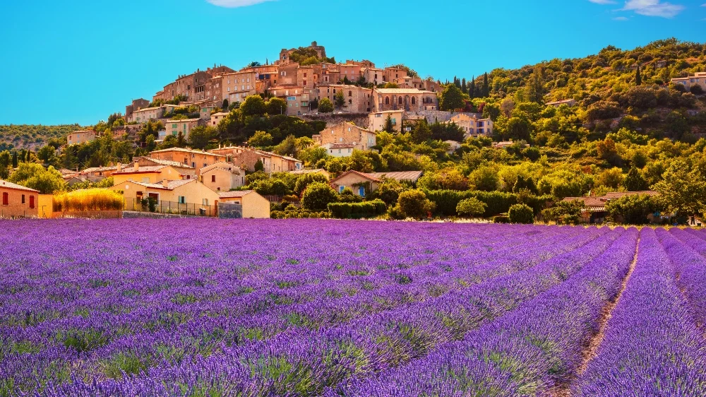 Provence wine region