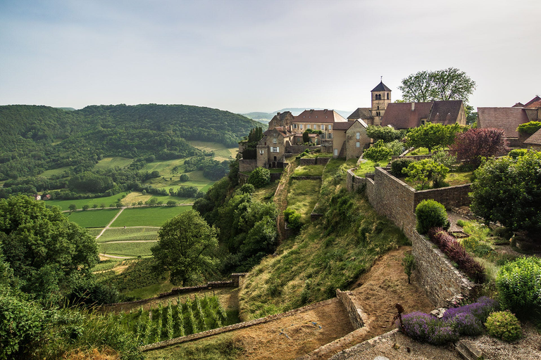 Jura Wine Region
